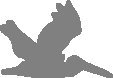 Andrews Arts & Sciences Law, LLC
